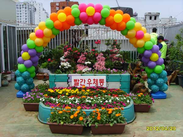 SSL23239.jpg
