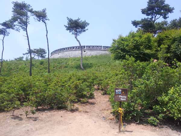 20120603_113306.jpg
