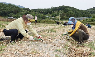 함양군.jpg