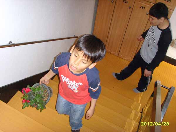 SSL23110.jpg