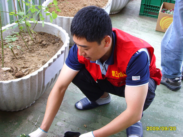 SSL21629.jpg