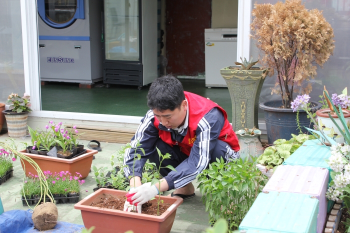새그림IMG_4536249.JPG