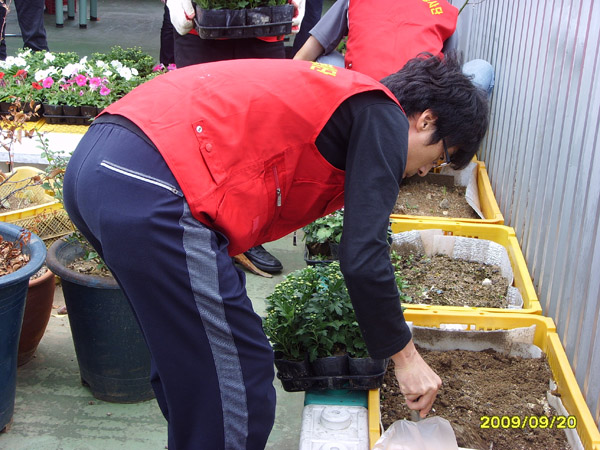 SSL21637.jpg
