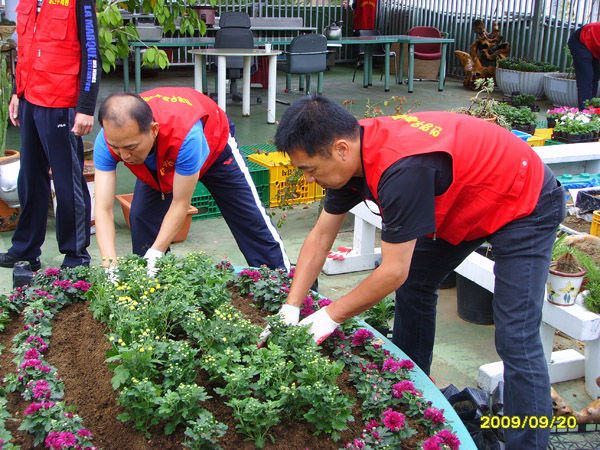 SSL21636.jpg