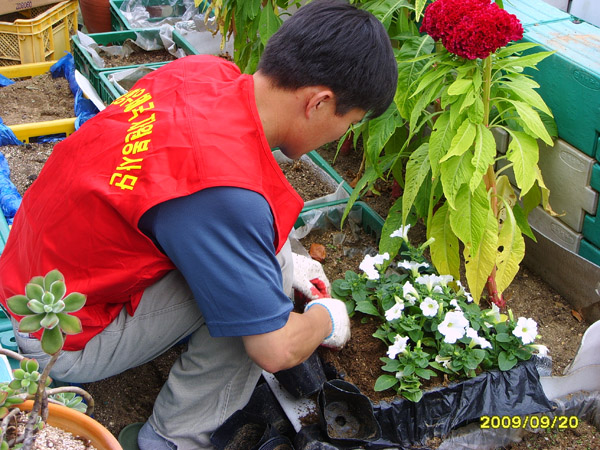 SSL21643.jpg