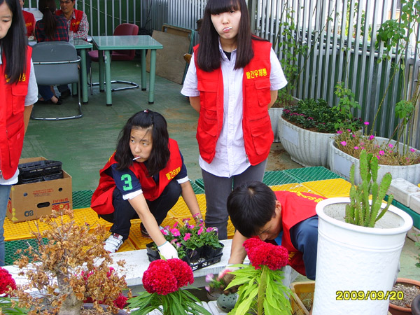 SSL21647.jpg