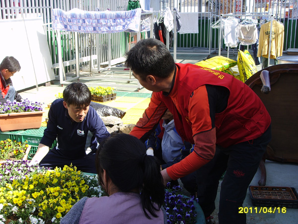 SSL22383.jpg