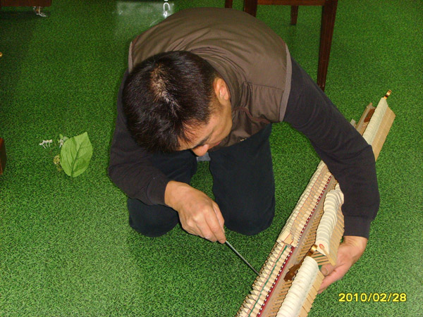 SSL21836.jpg