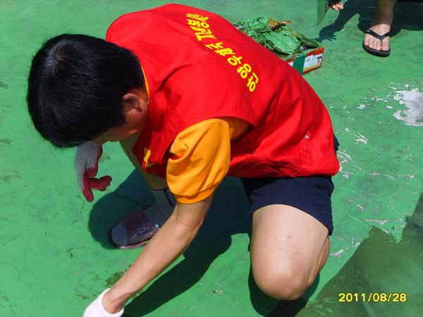 SSL22571.jpg