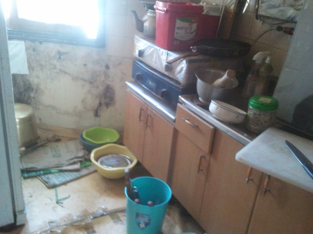 2012-04-09 14.04.46.jpg