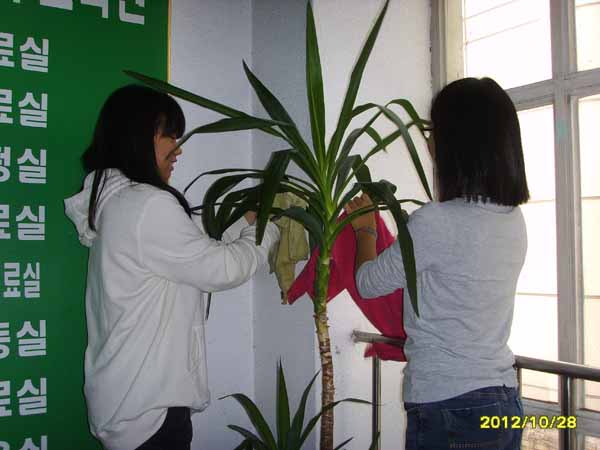 SSL23468.jpg